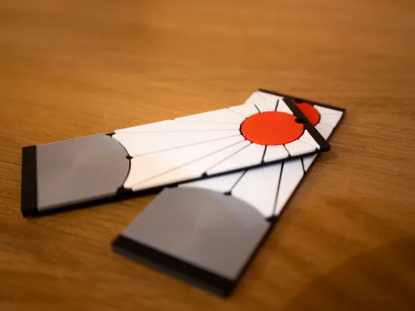 https://makerworld.bblmw.com/makerworld/model/US856c3dd147d286/design/2025-02-06_bdee38946709a.jpg