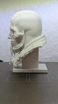 0.16mm layer, 2 walls, 2% infill