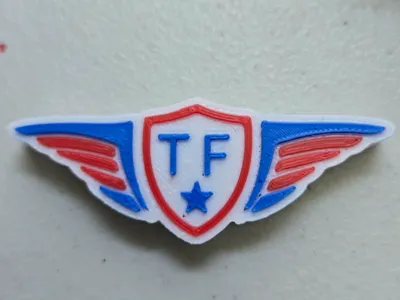 Team Fidelis Magnet