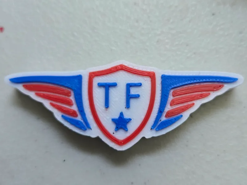 Team Fidelis Magnet
