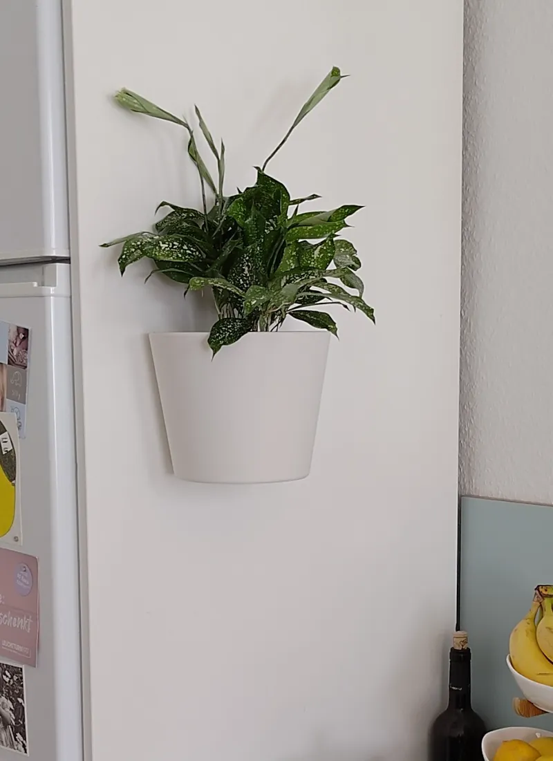 wall mounted flower pot / planter