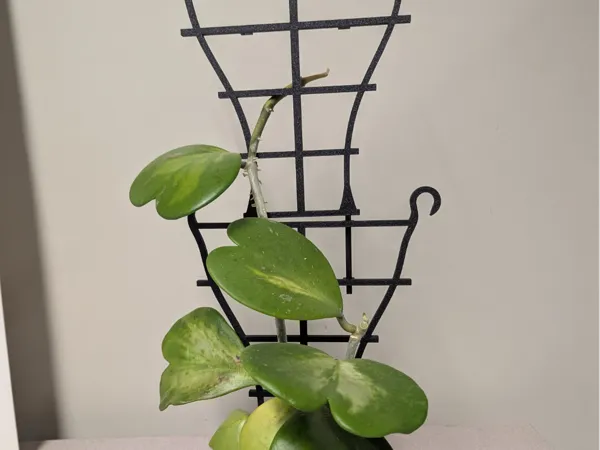 https://makerworld.bblmw.com/makerworld/model/US857704ed03fd6e/design/2025-03-28_992d1a54cc87f.jpg