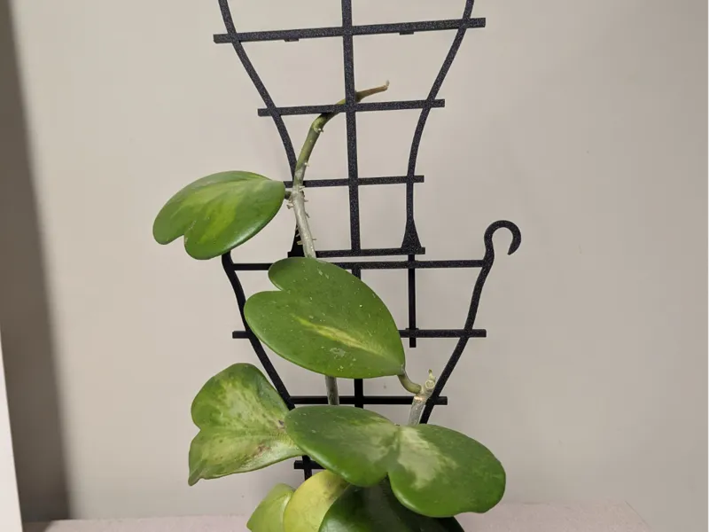 Stackable Plant Trellis