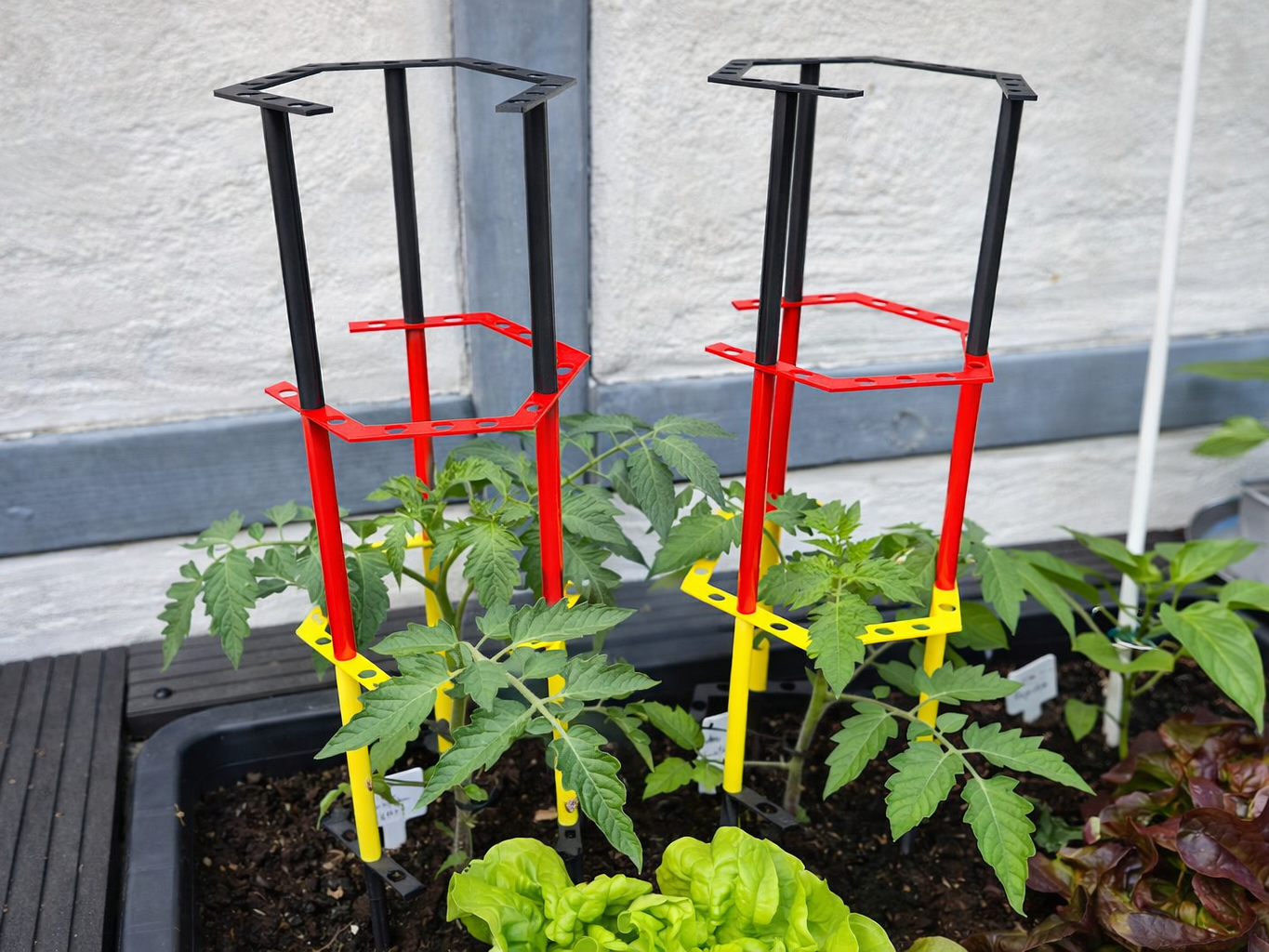 Modular Honeycomb Plant Trellis