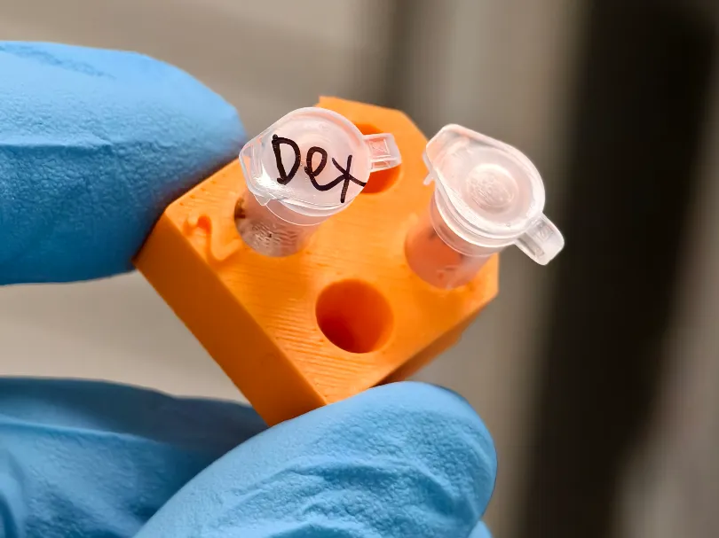 PCR mini tube rack - Free 3D Print Model - MakerWorld