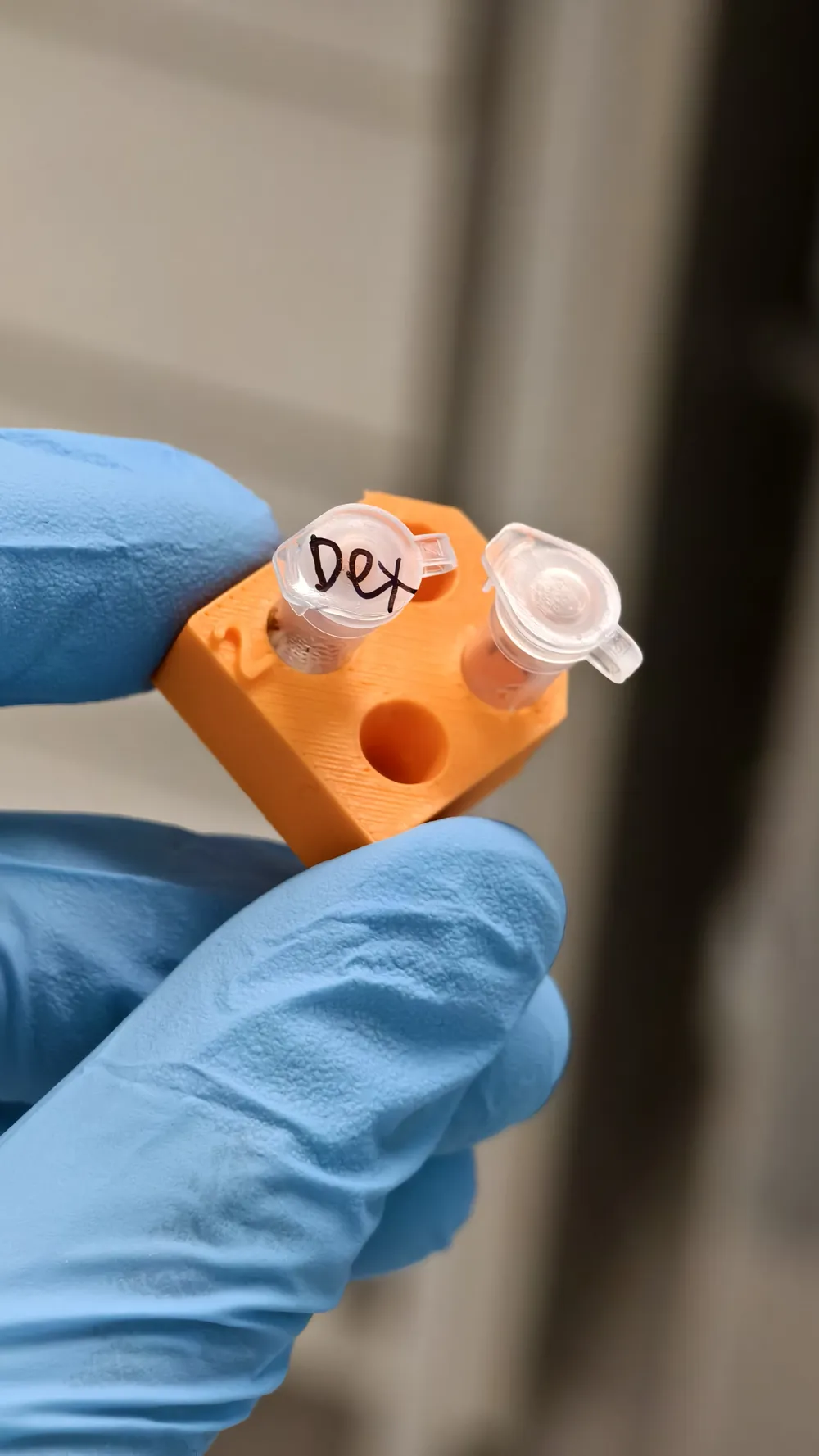 PCR mini tube rack - Free 3D Print Model - MakerWorld