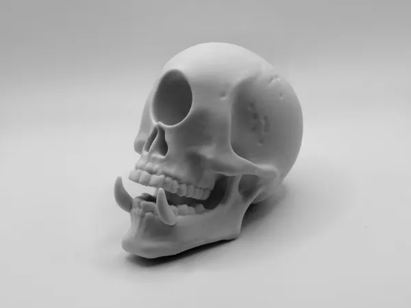https://makerworld.bblmw.com/makerworld/model/US857ee5abfea54a/design/2025-04-17_6817b15674f658.jpeg