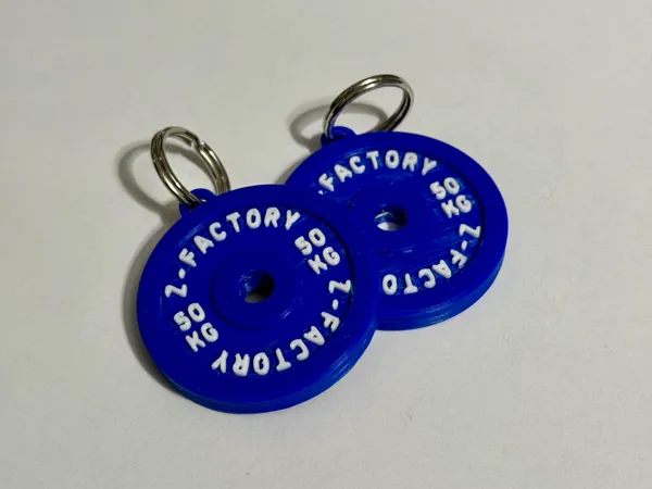 https://makerworld.bblmw.com/makerworld/model/US8587cf572fd08e/design/2025-02-27_3fa79a1816dc2.jpg
