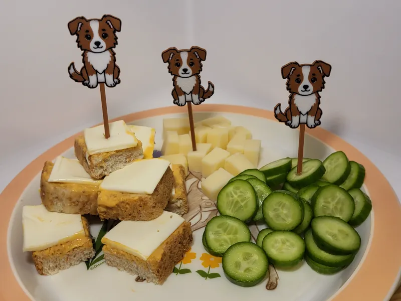 Apero Spiess / Pikser Border Collie 