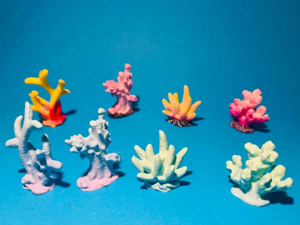 https://makerworld.bblmw.com/makerworld/model/US85941d35511171/design/2025-03-07_2b9f337537512.jpg