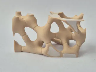 Actinenchyma plant tissue model.