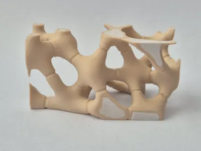 Actinenchyma plant tissue model.