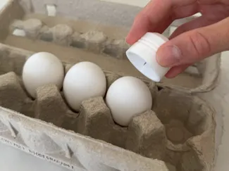 Egg Poker