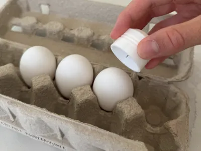 Egg Poker