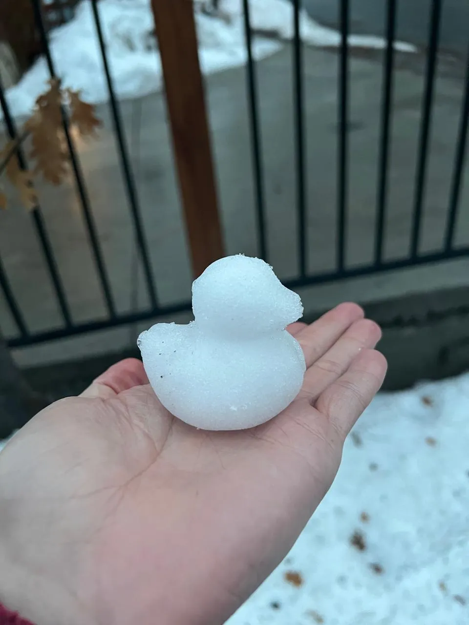 Snow Duck view 4