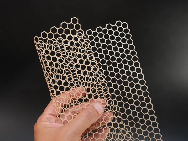 https://makerworld.bblmw.com/makerworld/model/US85a51da2e71059/design/9b174cca994a6876.jpg
