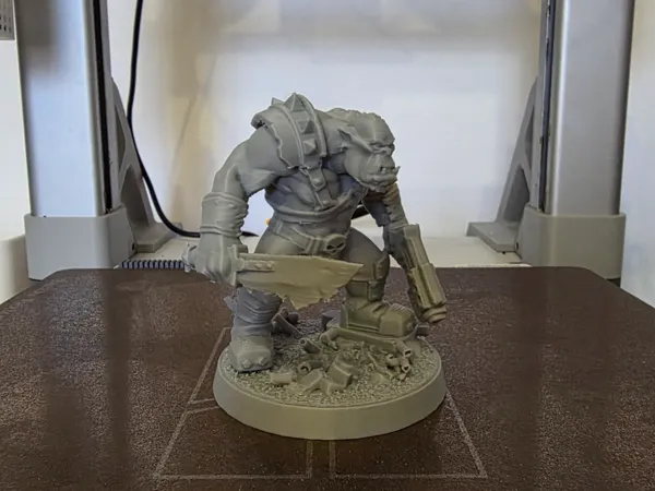 https://makerworld.bblmw.com/makerworld/model/US85a6726de2fe93/design/5d049bacf42d2379.jpg