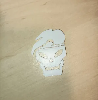 CoD black ops skull