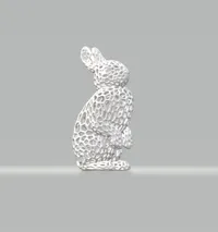 Lapin style Voronoi — photo 2