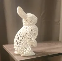 Lapin style Voronoi — photo 3