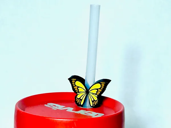 https://makerworld.bblmw.com/makerworld/model/US85af5d612de528/design/2025-03-31_50b0c4eb87c5.jpg