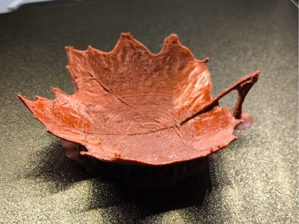 https://makerworld.bblmw.com/makerworld/model/US85af661be7283b/design/2025-10-17_bf72e5edf79cc8.jpg