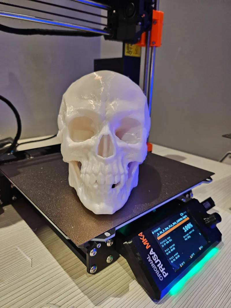 Skull