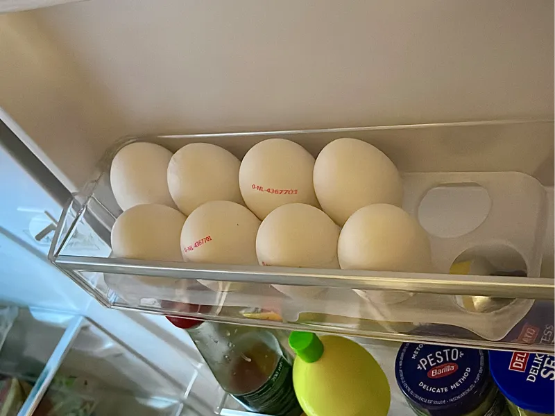 10 slot egg tray