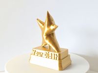 Wonky Star Award