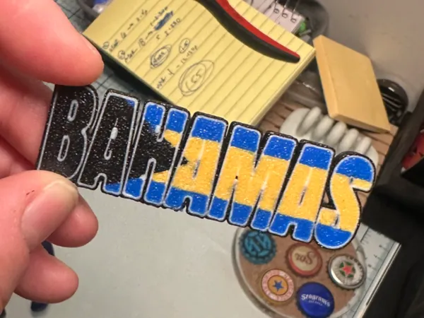 https://makerworld.bblmw.com/makerworld/model/US85b3836aec7a0c/design/2025-03-03_ab9a142705338.jpeg