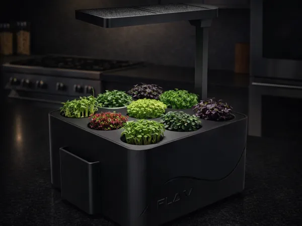 https://makerworld.bblmw.com/makerworld/model/US85b5dc48eb7808/design/5ae584ccc499ba08.png