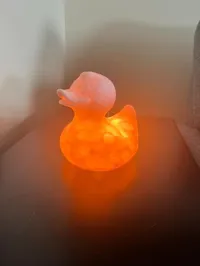Lampe canard rose (LED 001) — photo 5
