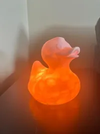 Lampe canard rose (LED 001) — photo 4
