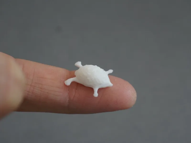 Hedgehog (from 9min, sizes vary)