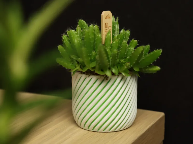 Easy To Print Multi Color Vase