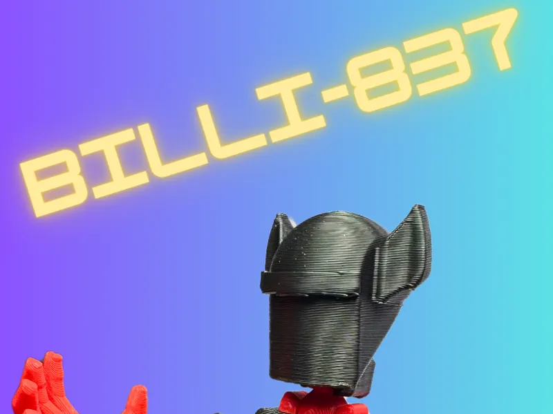 Dummy 13 Head Billi-837