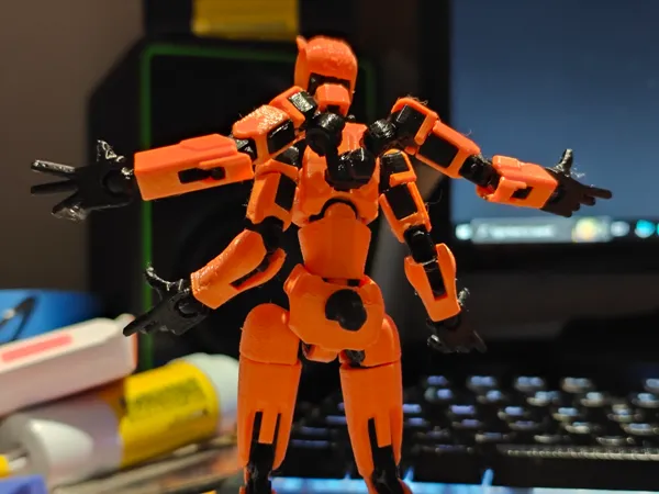 https://makerworld.bblmw.com/makerworld/model/US85bbcecc4b1cc2/design/2025-02-01_113000c99ca58.jpg