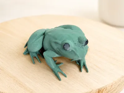 Realistic Frog Collection
