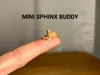 Mini Sphinx Buddy - 0.12mm layer, 2 walls, 15% infill