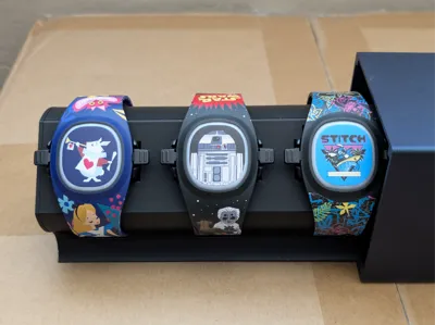MagicBand+ Docking Station with Protective Shell