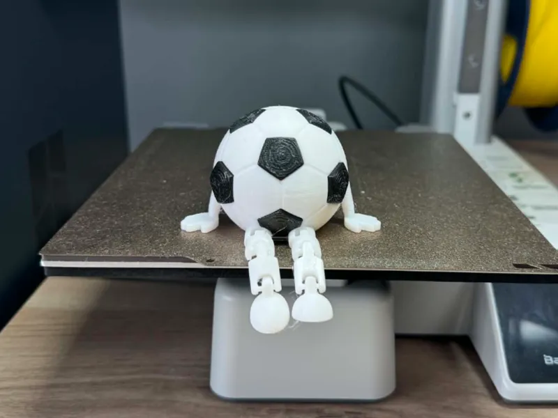 Ball Buddy