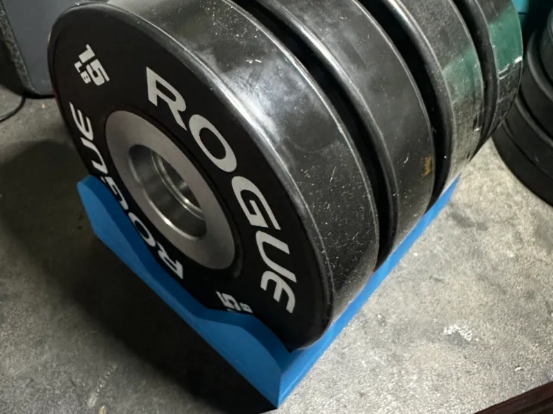 Rogue Dumbbell Bumper Plate Holder - 15 lb plates