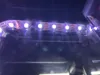 PETG - 0.24mm layer2 walls10% infill - With LED Strip Clips