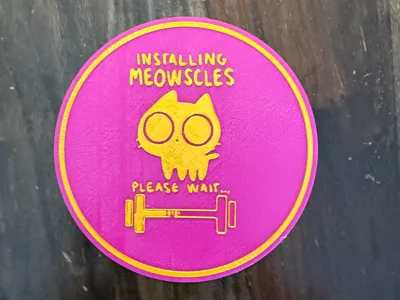 Fortnite Meowscles Coaster