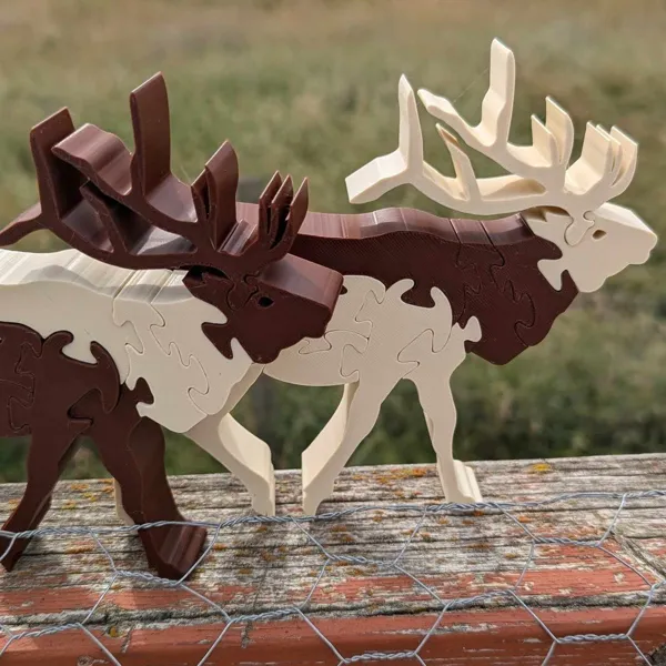 https://makerworld.bblmw.com/makerworld/model/US85d22d0152305f/design/2024-10-20_r95a084mde7n.jpg