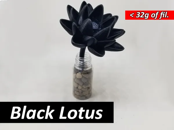 https://makerworld.bblmw.com/makerworld/model/US85d2a0a43775ff/design/2023-11-27_ea78b93fd5021.jpg