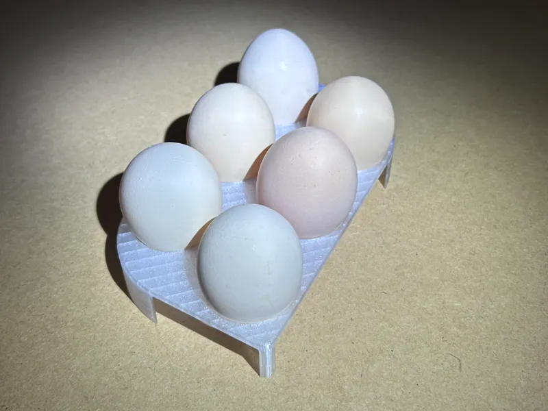 The best egg holder