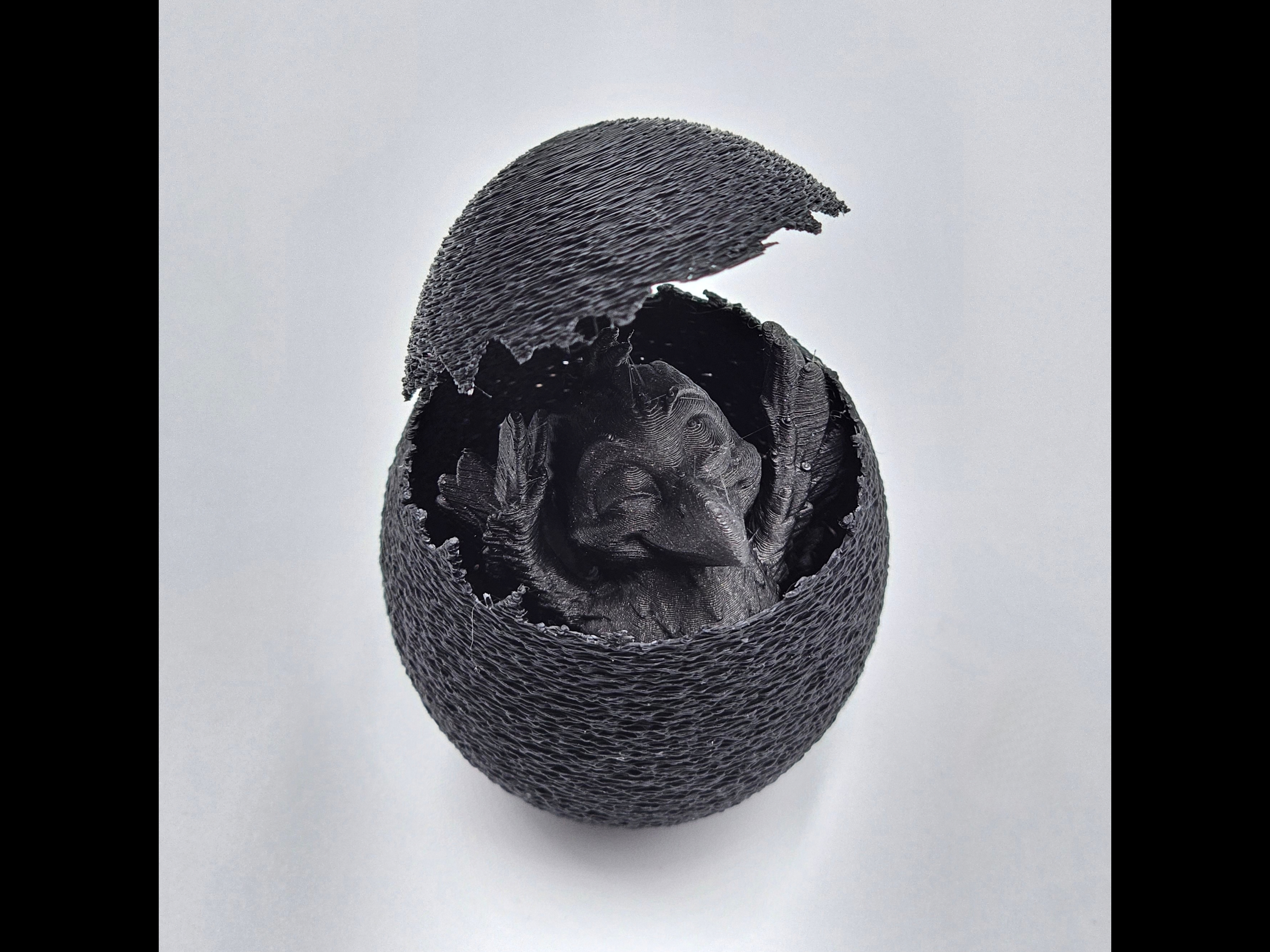 Animal - Egg - Raven - 1