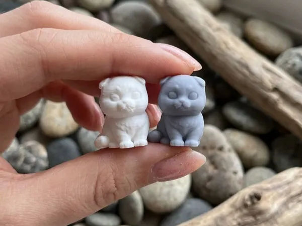 https://makerworld.bblmw.com/makerworld/model/US85e52e4f95c616/design/2b79617f56e2892e.png