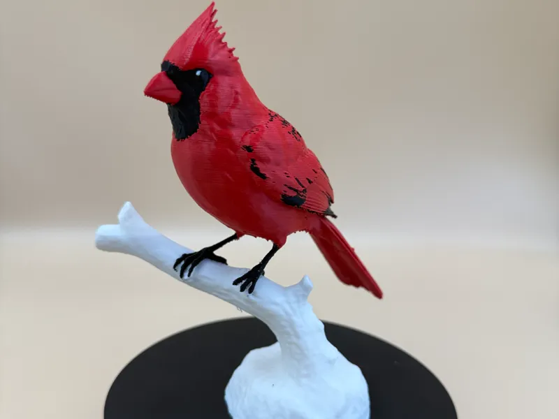 Male Crimson Crest Cardinal